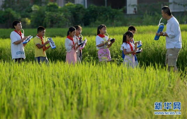 大山小调：一个山村小学的音乐实验